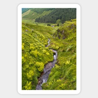 Mountain Stream Sticker